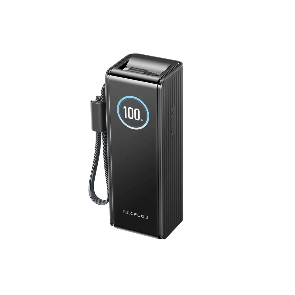 ecoflow-rapid-powerbank-25000mah-170w-schwarz-kabel image 1
