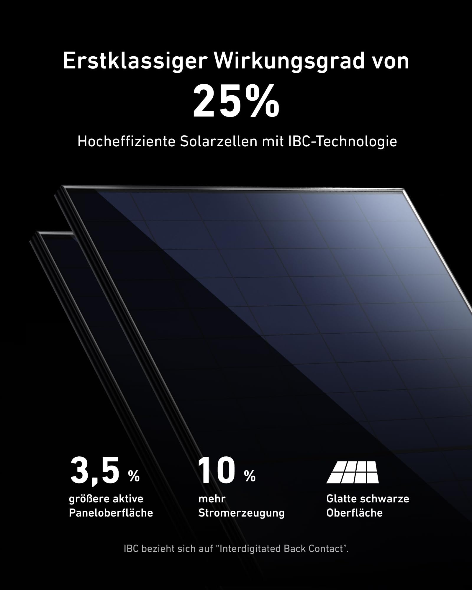 anker-solix-rs40p-balkonkraftwerk-890-wp-mit-2-445-w-panel-und-800w-wechselricht image 2