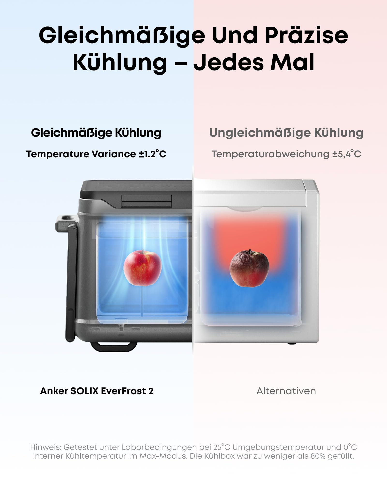anker-solix-everfrost-2-58l-akku-k-hlbox-roadtrip-set-288wh image 5