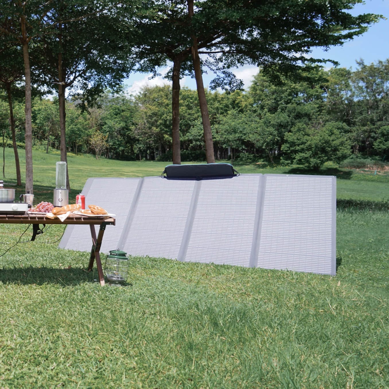 ecoflow-delta-solarpanel-tragbar-400w-faltbar-ip68 image 5